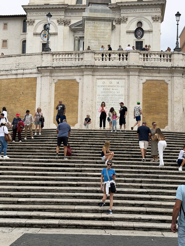 IMG 0239