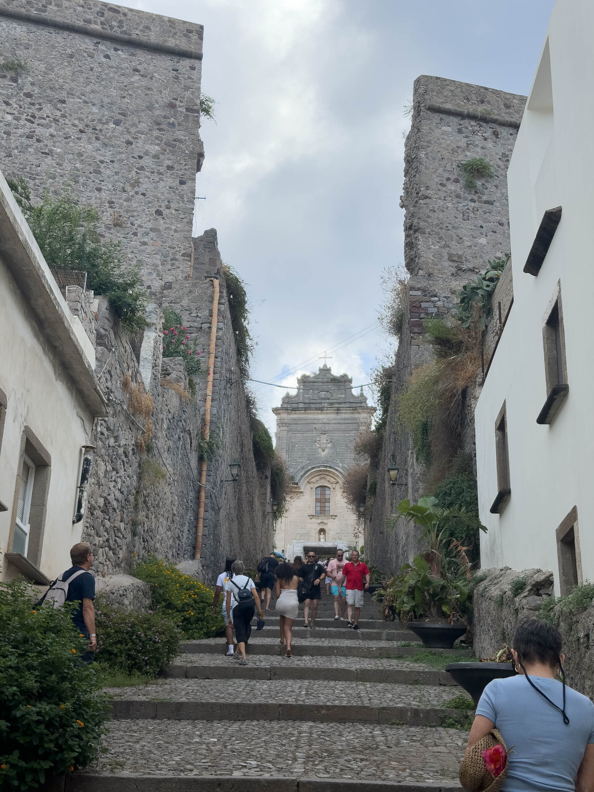 IMG 0361