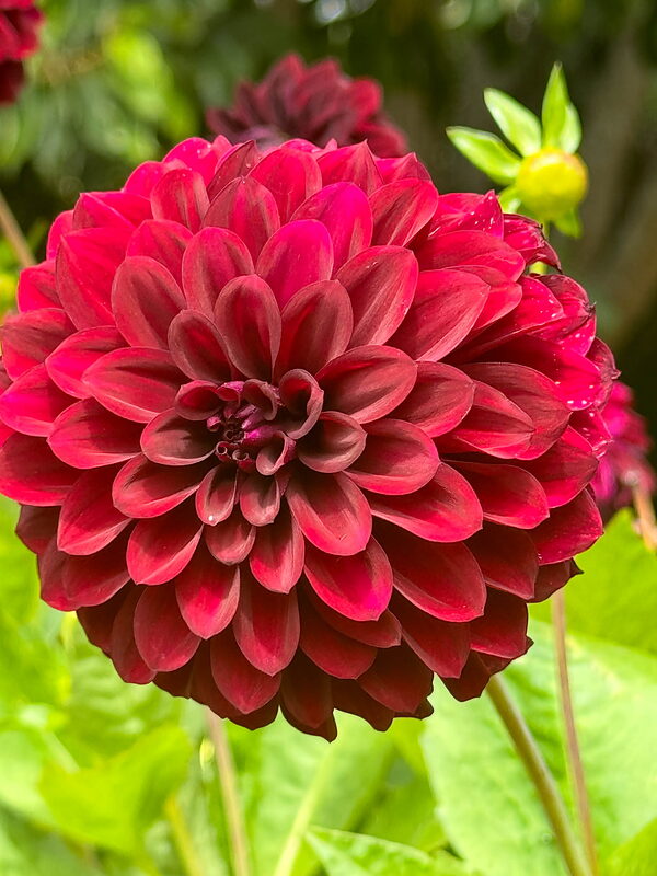 IMG 5440