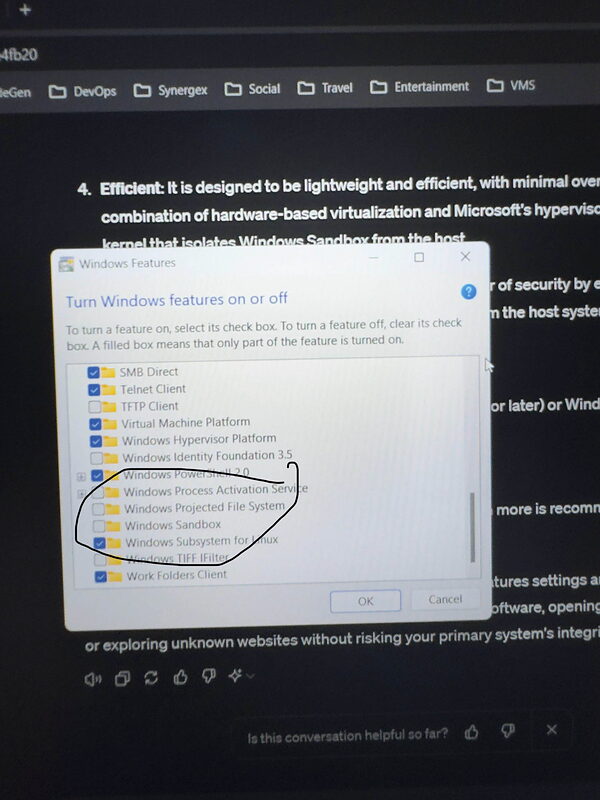 IMG 5279