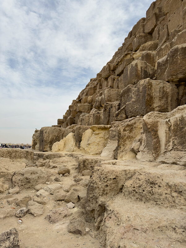 IMG 4733
