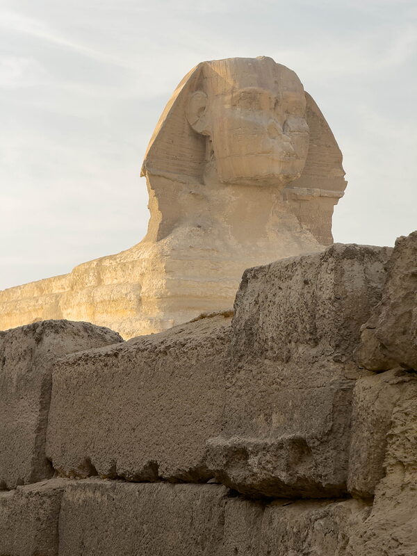IMG 4769