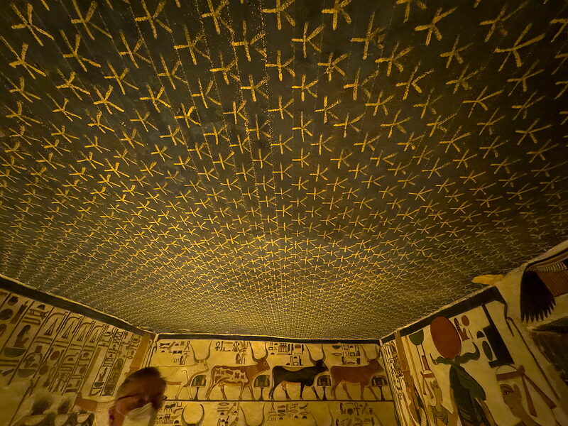 IMG 4839
