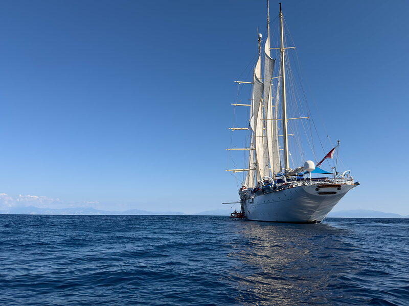 IMG 0437