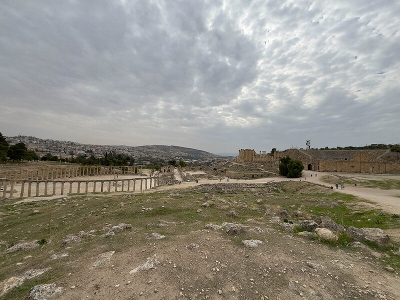 IMG 4252