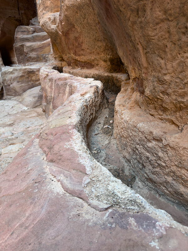 IMG 4516