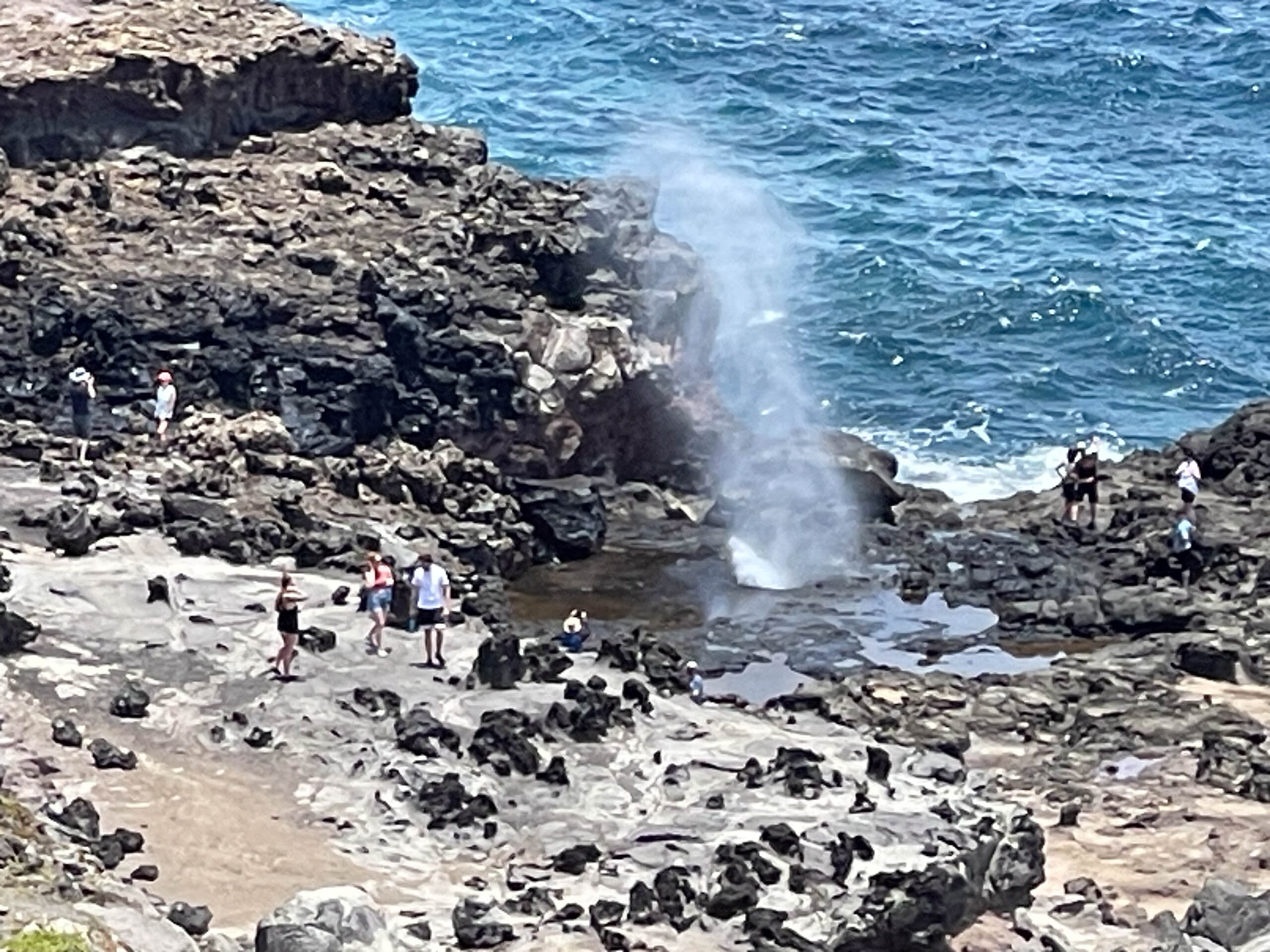 IMG 3795