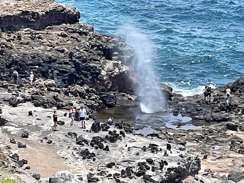 IMG 3795