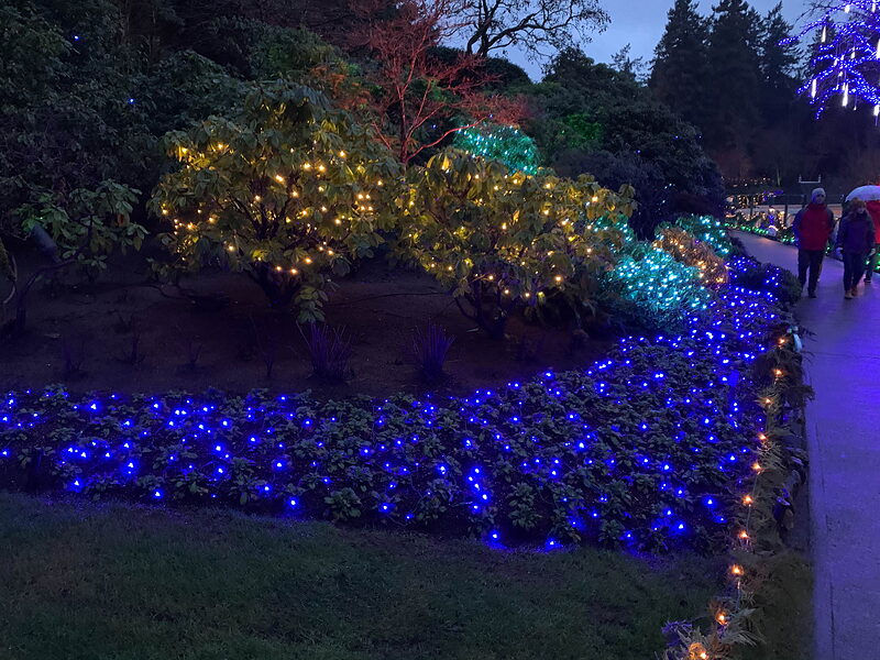 IMG 1127