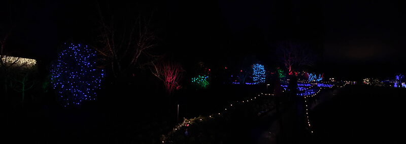 IMG 1158