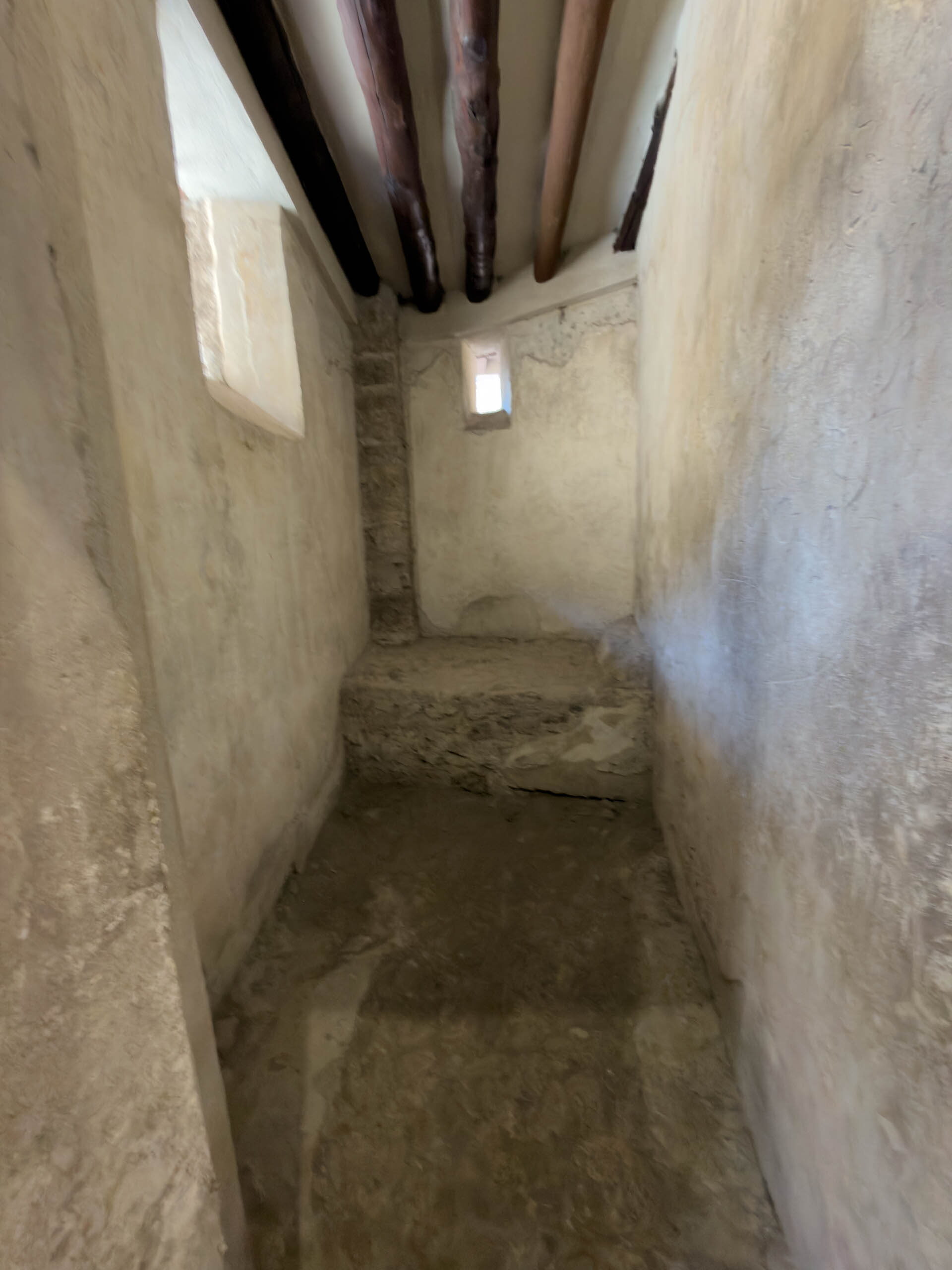 IMG 0533