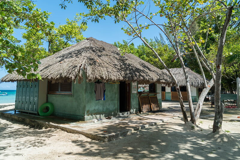DSC0867