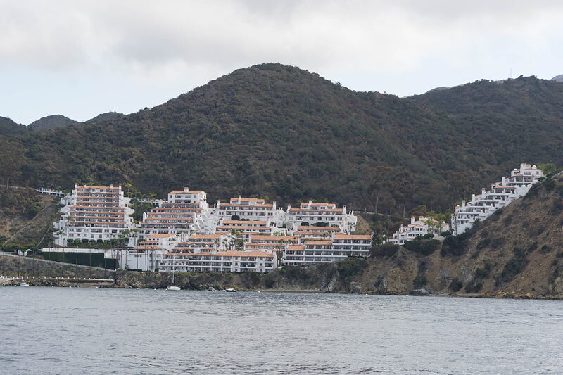 DSC00558