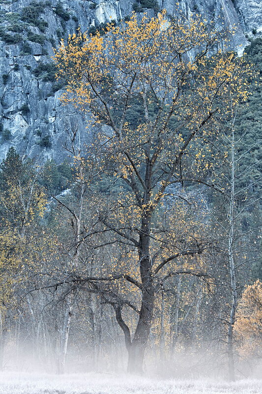 5D3 1887 Edit