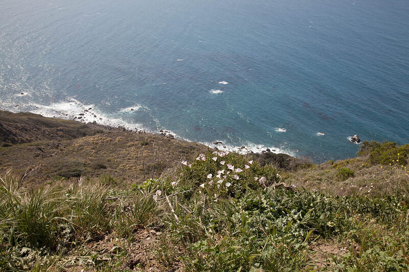 IMG 3384