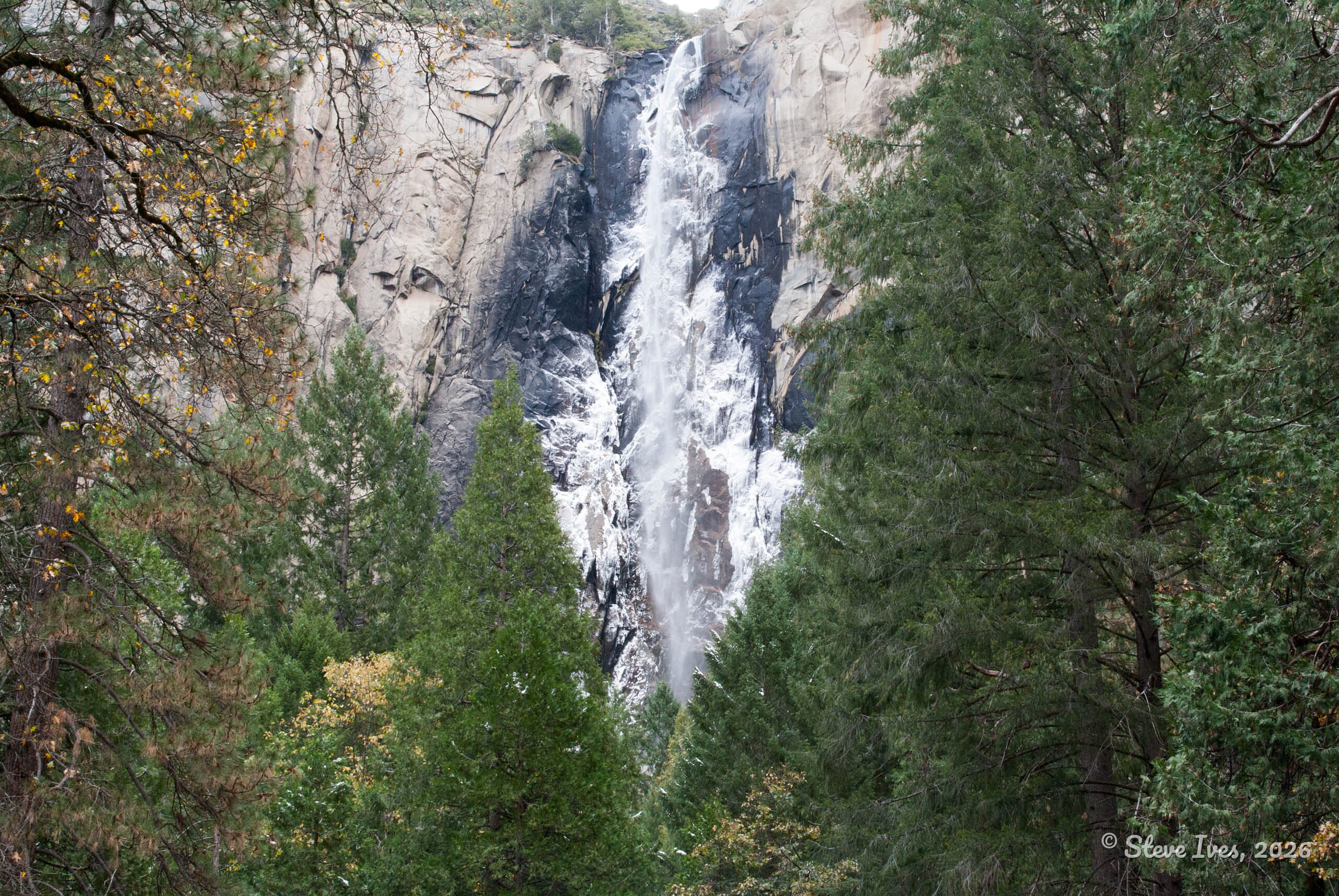 DSC03798