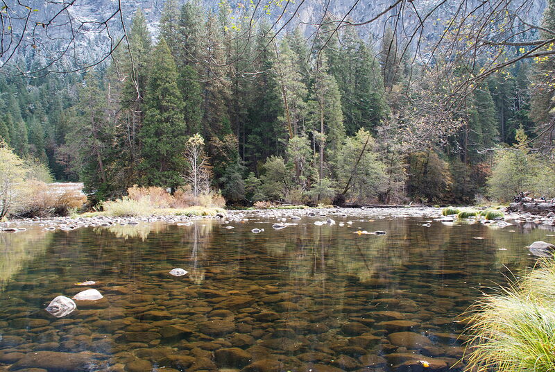 DSC03887