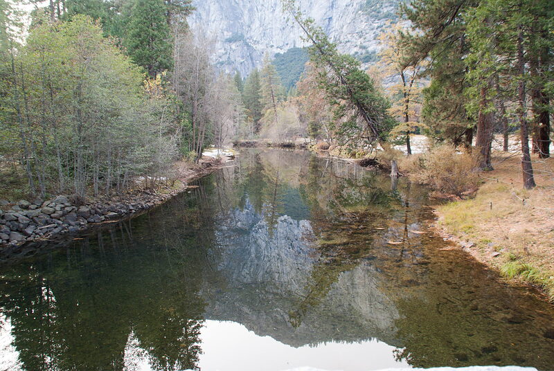 DSC03950