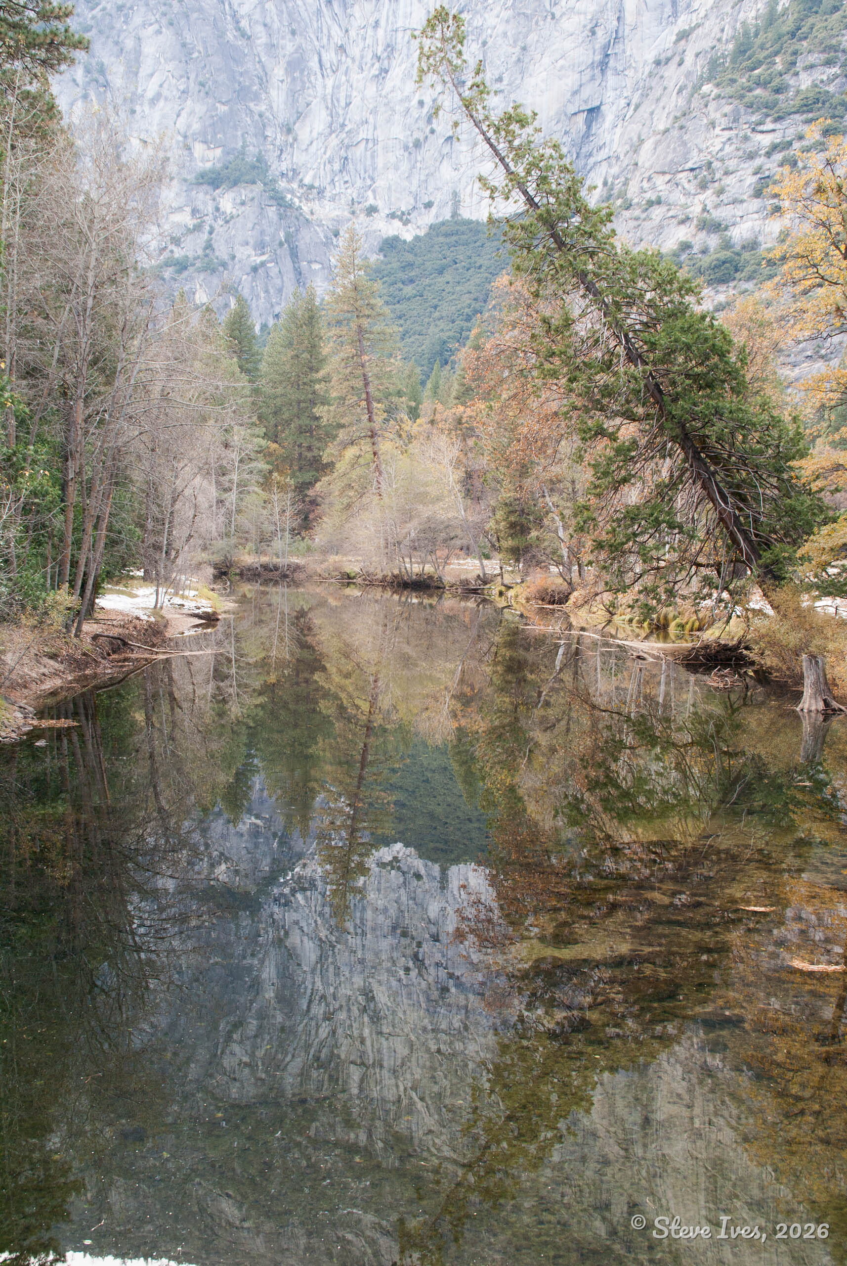 DSC03951