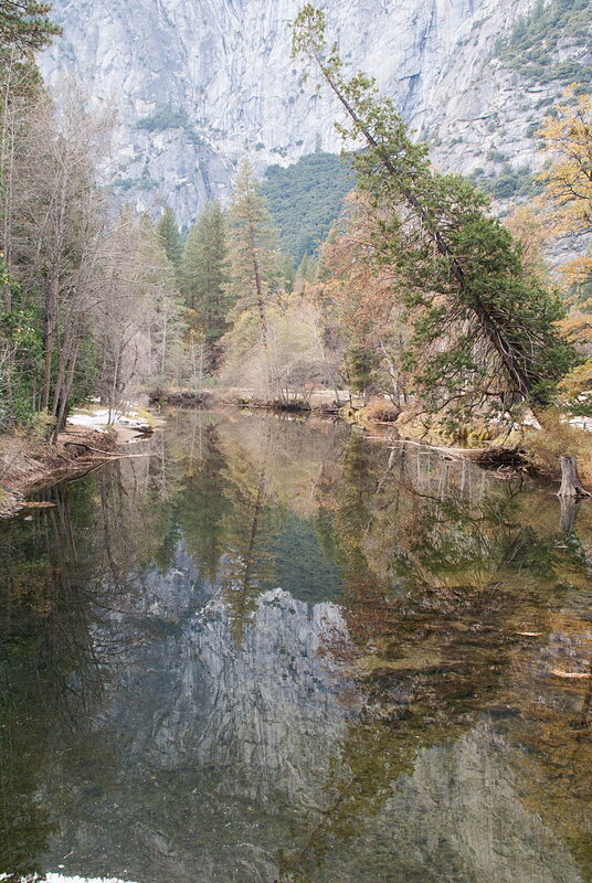 DSC03951