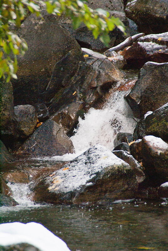 DSC04064
